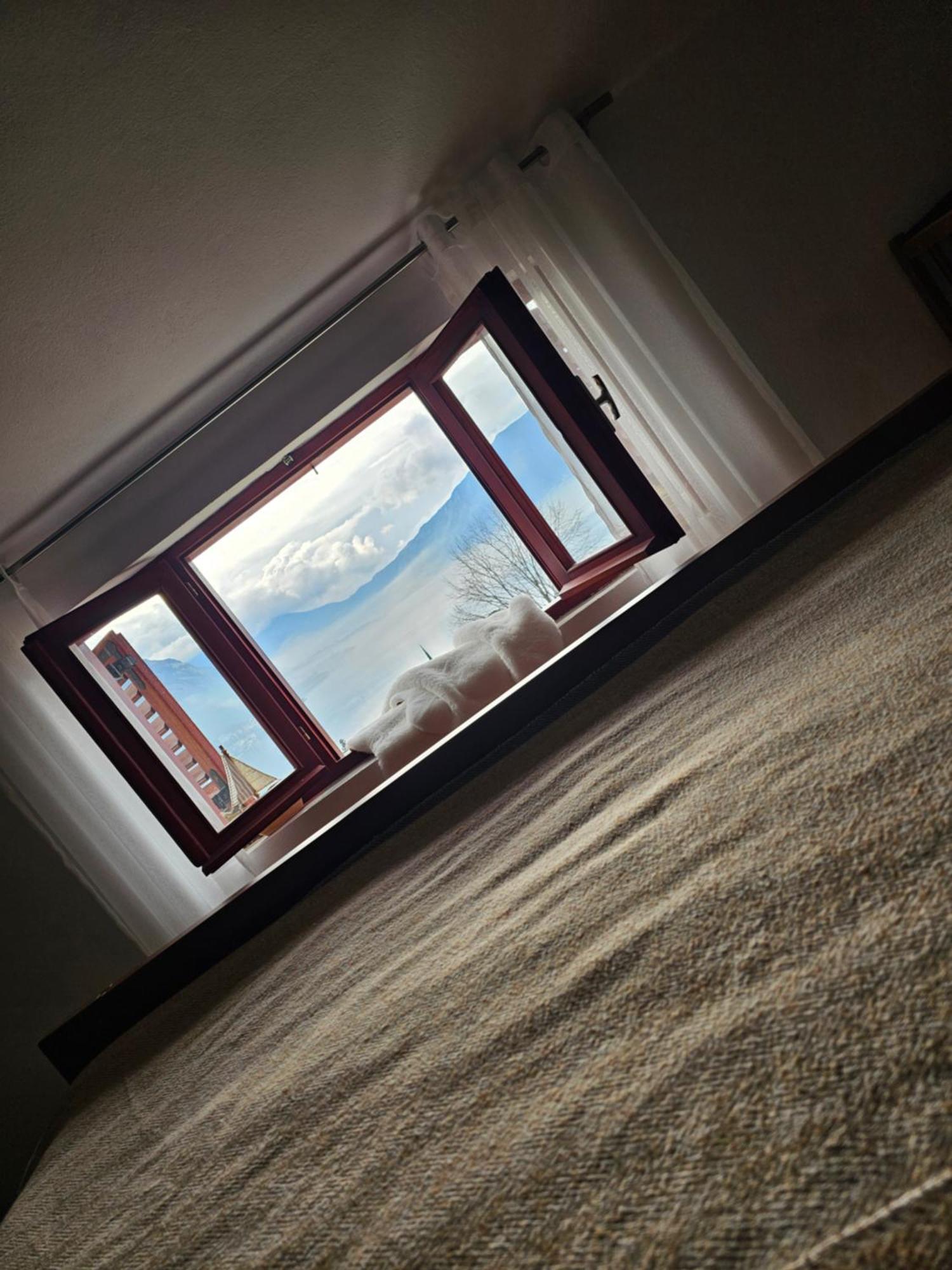 Apartments Nadja Kotor Bilik gambar
